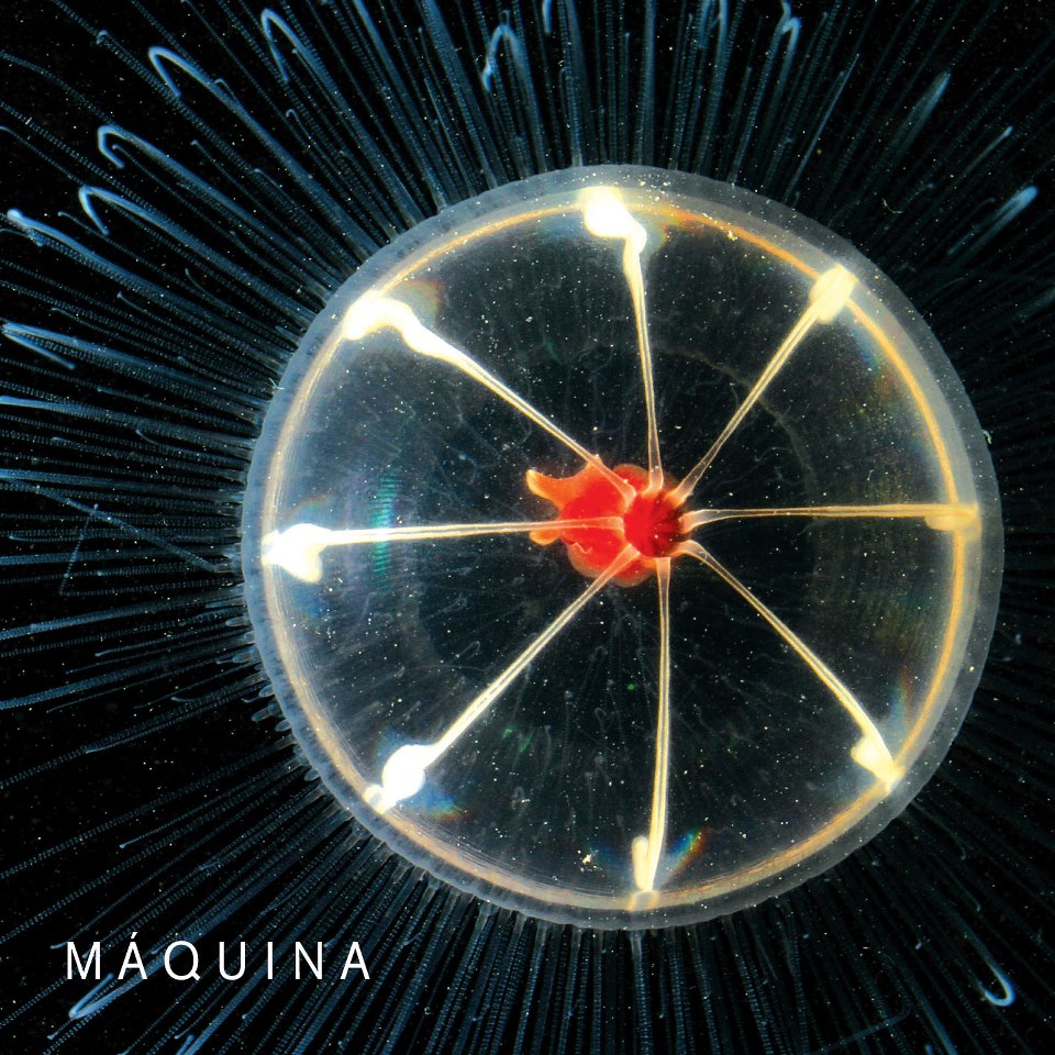 You are currently viewing Você Precisa Ouvir: Máquina – Máquina (2012)