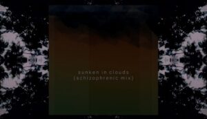 Leia mais sobre o artigo Animal Trees compartilha remix ‘esquizofrênico’ do single “Sunken in Clouds”, ouça