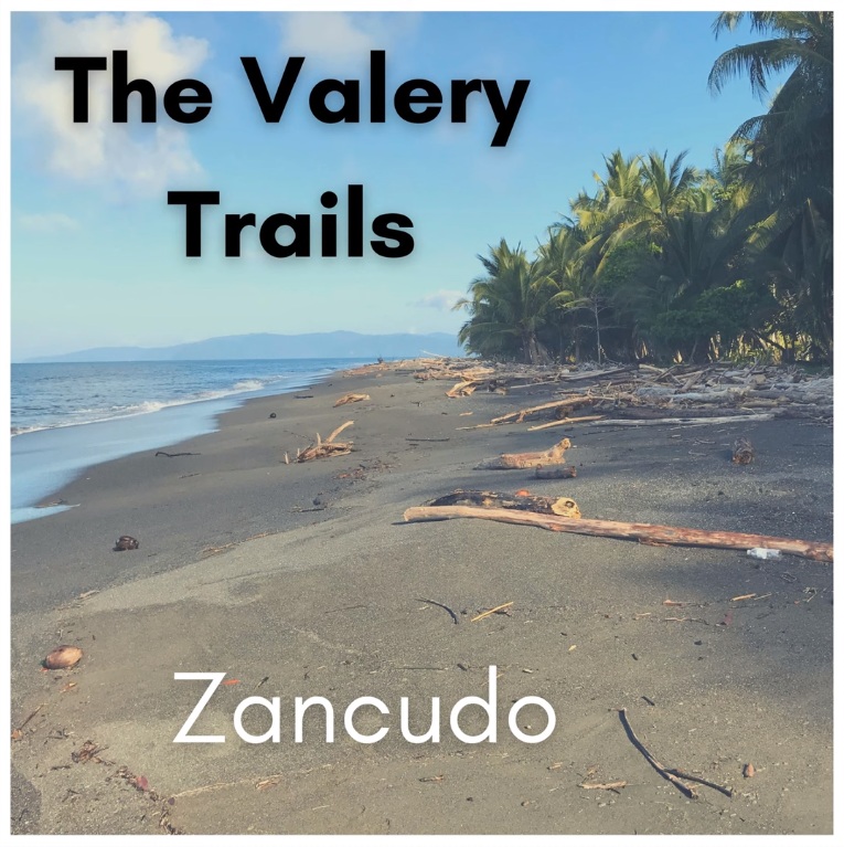 You are currently viewing The Valery Trails: trio australiano antecipa álbum com a inédita “Zancudo”