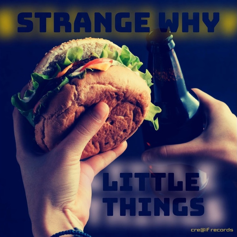 You are currently viewing Ouça mais um single do Strange Why: “Little Things”