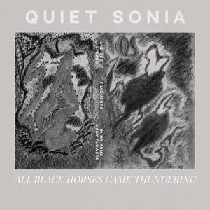 Leia mais sobre o artigo Quiet Sonia – All Black Horses Came Thundering [EP]