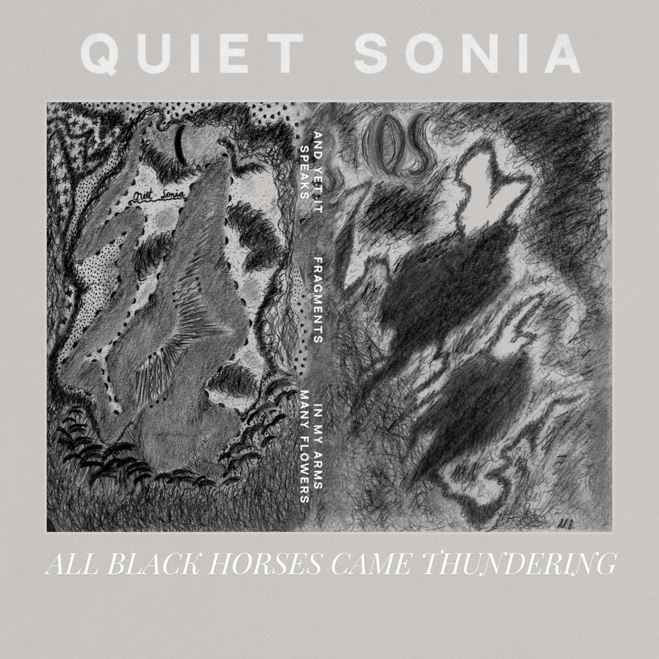 You are currently viewing Quiet Sonia – All Black Horses Came Thundering [EP]