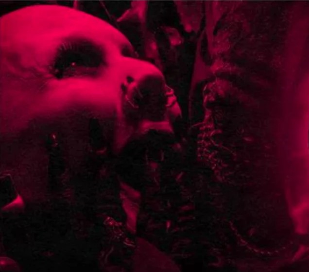 Leia mais sobre o artigo Sopor Aeternus & The Ensemble of Shadows anuncia novo álbum “Alone at Sam’s – An Evening with…”